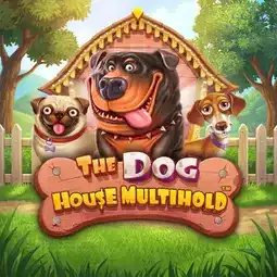 The Dog House Multihold game at Mr Ben Casino for United Kingdom players